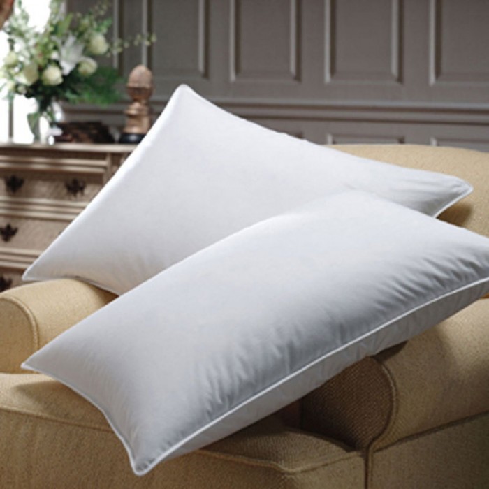 Golite DOZE 20°F 600 Fill  Down The North Face Goose Down Fill Thermal Insulation Technology