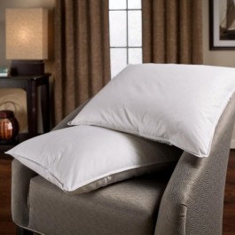 Downlite Down and Feather Blend Pillow